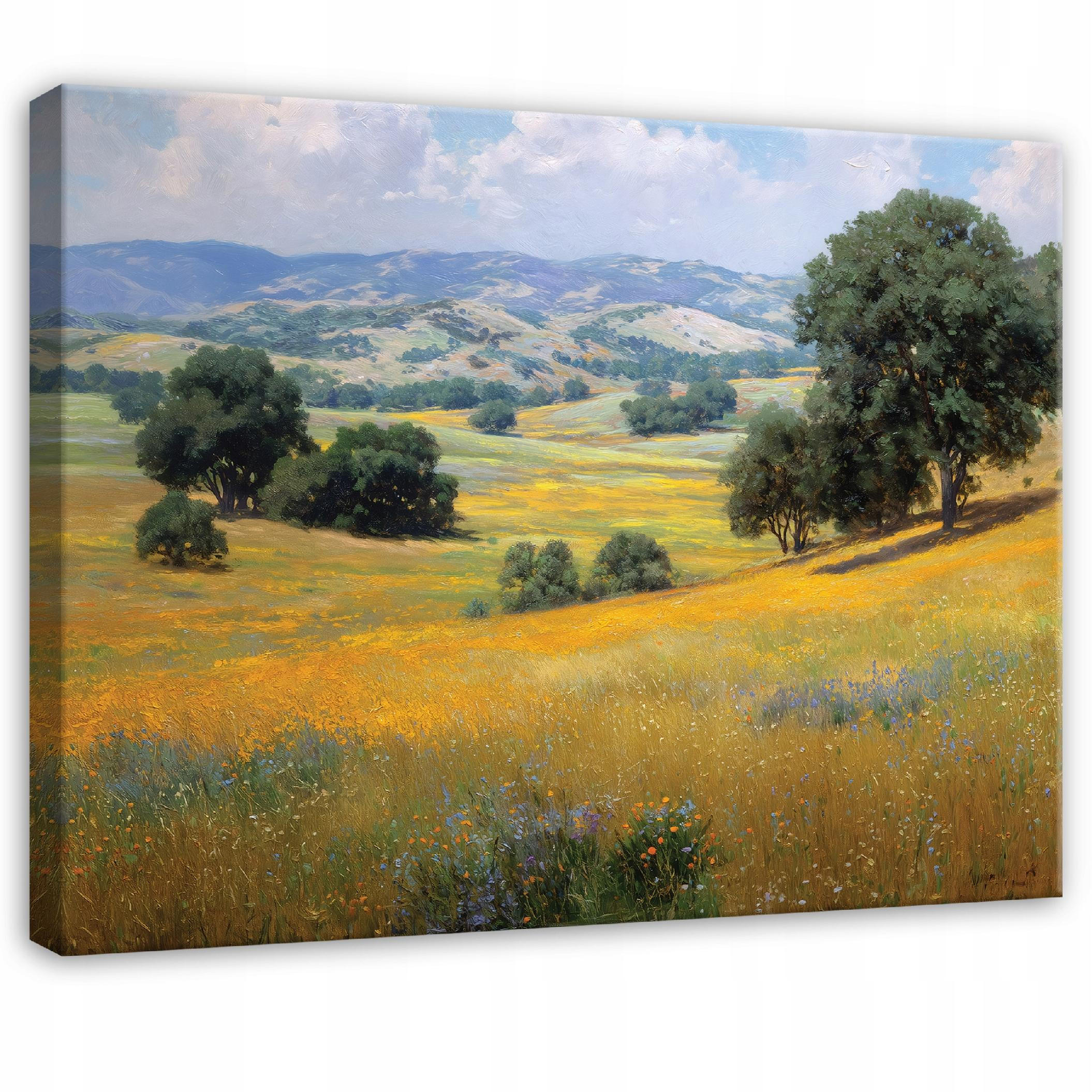 LEINWANDBILD Landschaft Feld Grün 120x80 cm - Multicolor, Holzwerkstoff (120/80cm) - Wallarena
