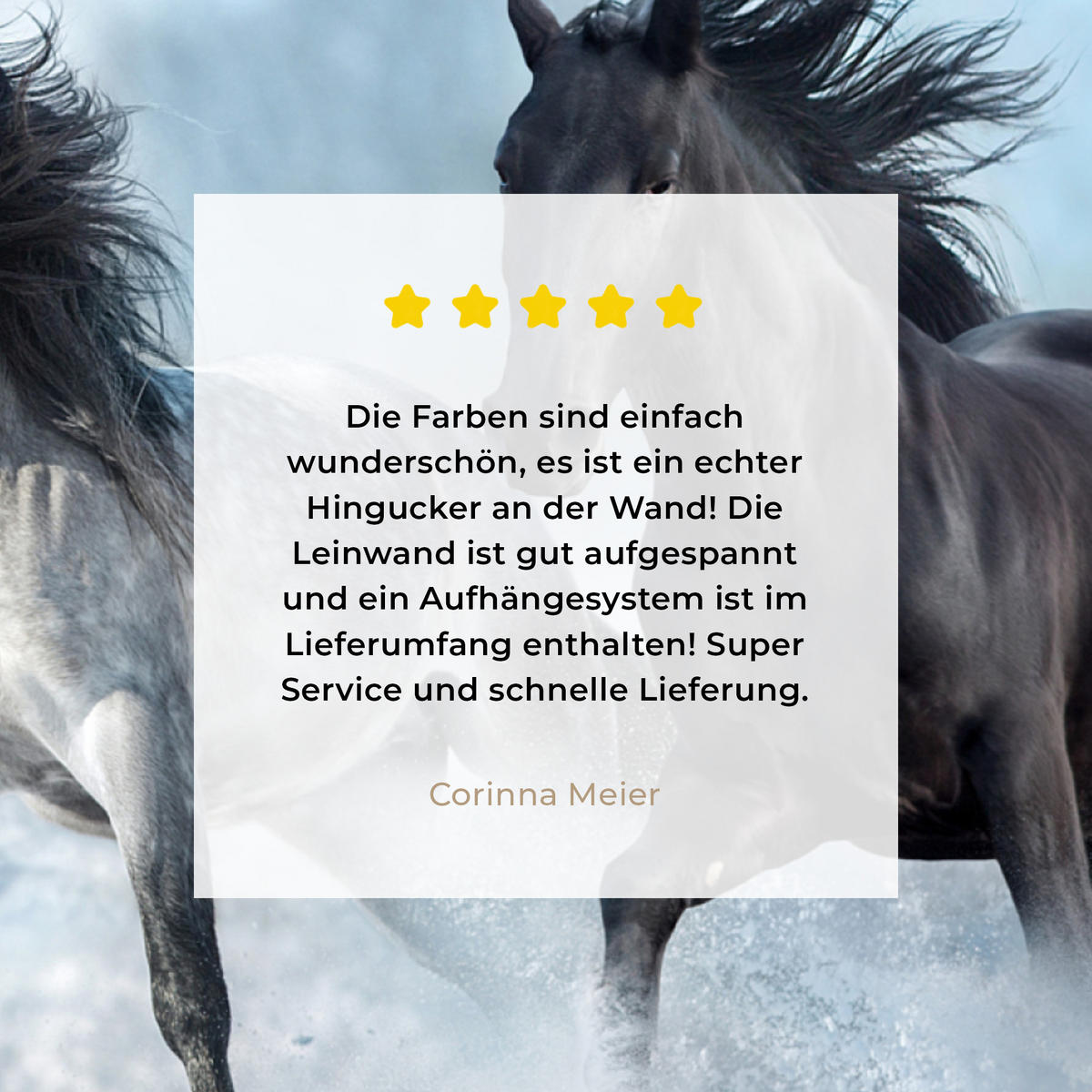 LEINWANDBILD Pferde - Winter - Tiere - Natur - Schnee 50x50 cm - Anthrazit, Textil (50/50cm) - MuchoWow