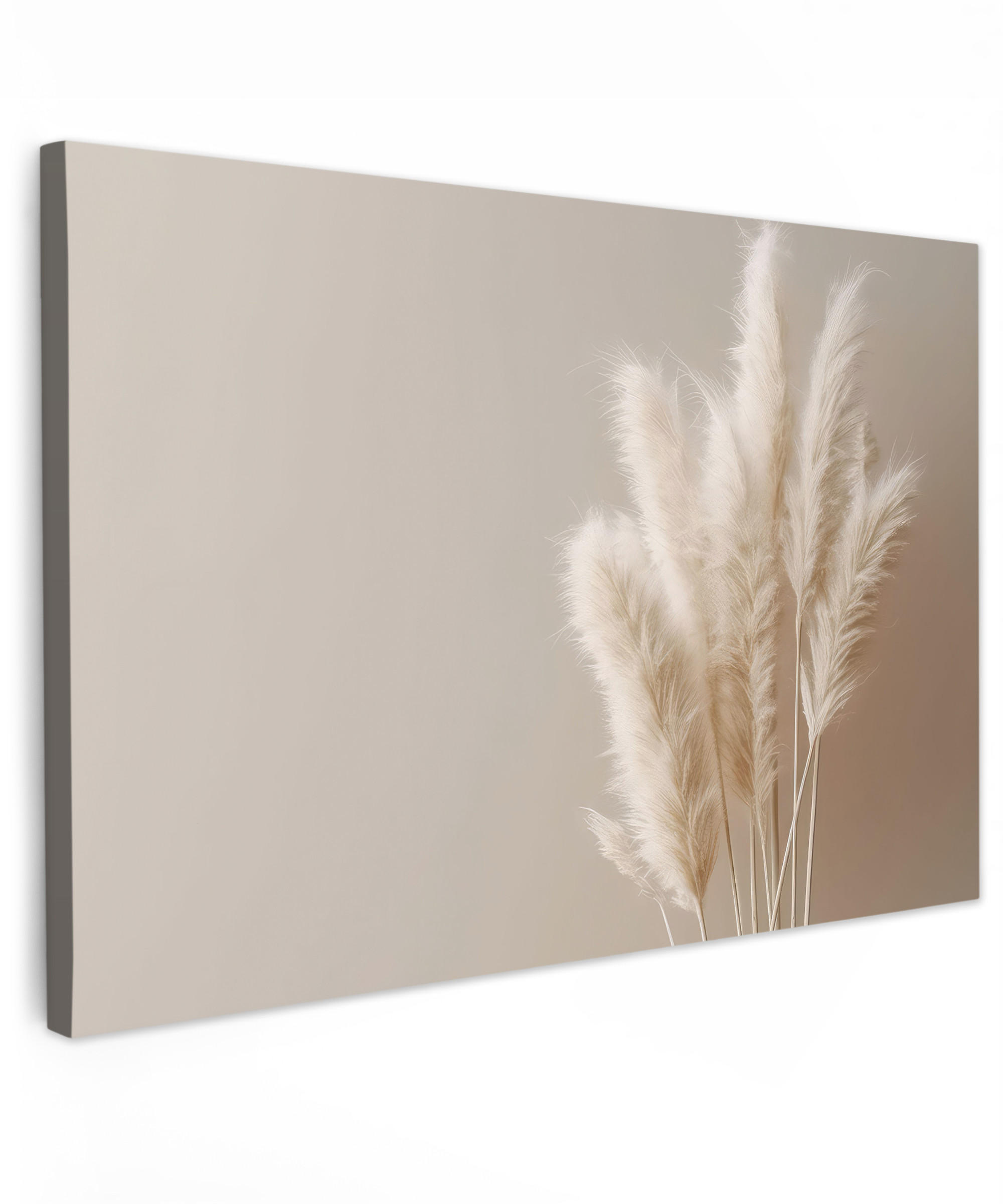 LEINWANDBILD Pampasgras - Federn - Pastell - Weiß Wohnzimmer Groß 120x80 cm - Naturfarben, Textil (120/80cm) - MuchoWow
