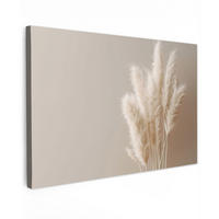 LEINWANDBILD Pampasgras - Federn - Pastell - Weiß Wohnzimmer Groß 120x80 cm - Naturfarben, Textil (120/80cm) - MuchoWow