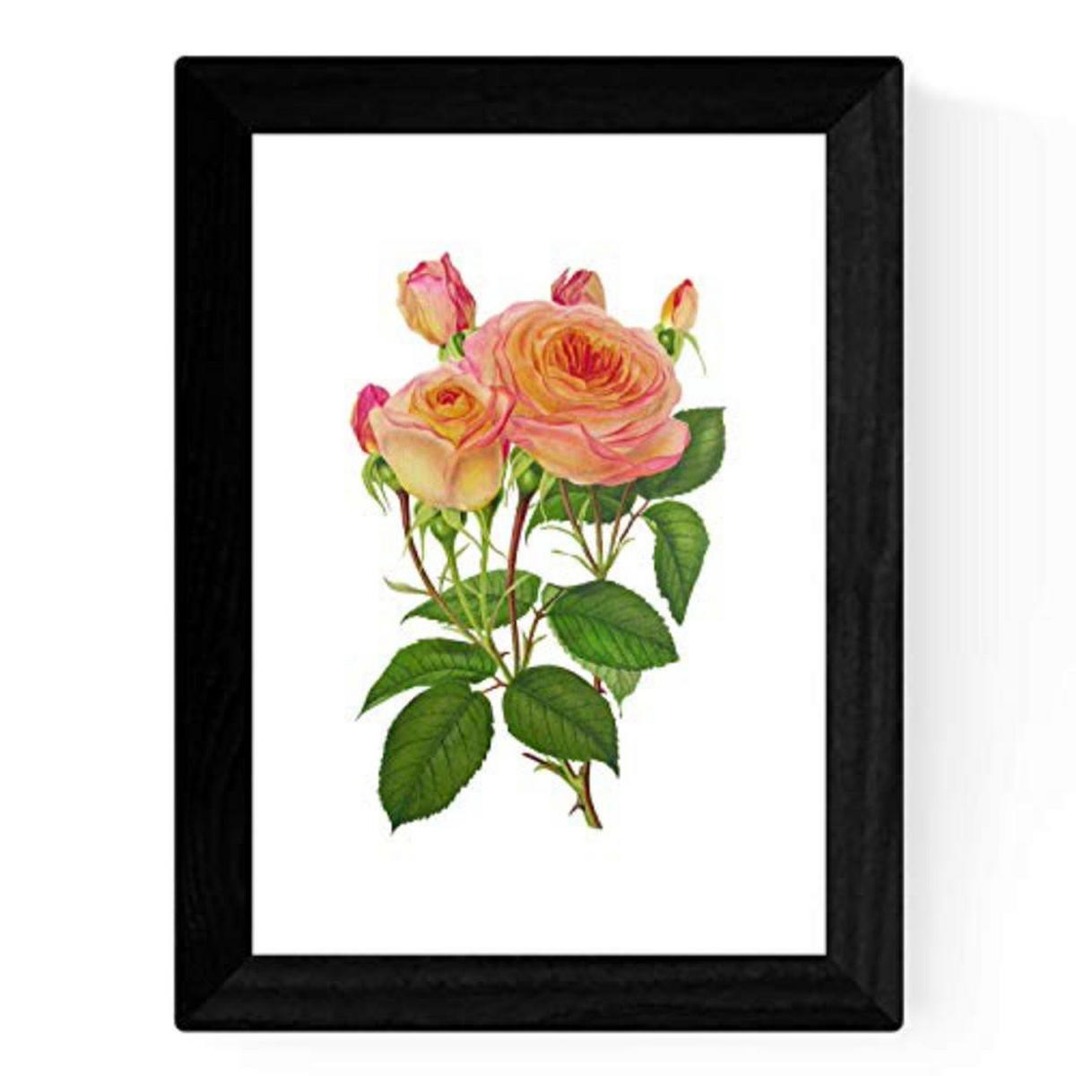 POSTER Set mit 4 Botanische Weiß Hintergrund Rosen A3 Rahmenlos - Klar, Papier (29.7/3cm) - Nacnic