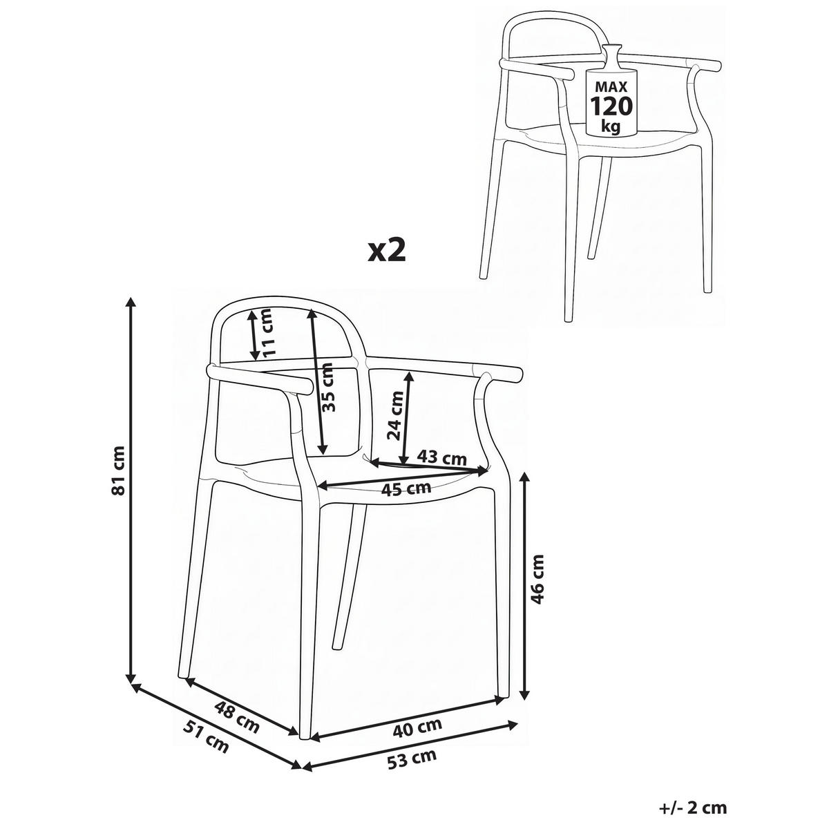 GARTENSTUHL 2er-Set Schwarz Vidor - Schwarz, Kunststoff (53/81/51cm) - Beliani
