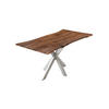 ESSTISCH HELENE - Silberfarben/Braun, Holz/Metall (100/240/77cm) - SAM