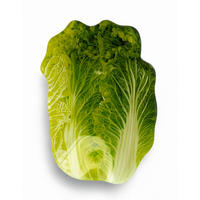 SERVIERPLATTE Aria Fresh Grün 14x20xh1 cm Glas - Grün, Glas (20/1/14cm) - Mondex