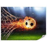 FOTOTAPETE für Jugendzimmer Fußball Flammen Stadion Feuer 500x350 - Multicolor, Papier (500/350cm) - Muralo