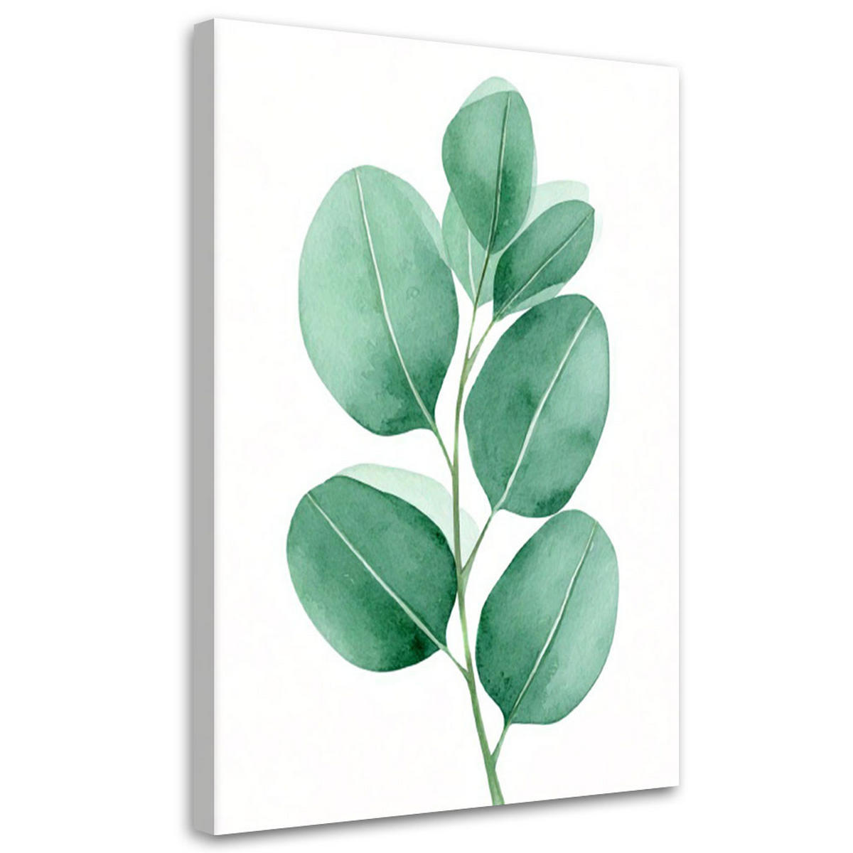 LEINWANDBILD Natur und Botanik 20x30cm - Grün, Textil (20/30cm) - Feeby