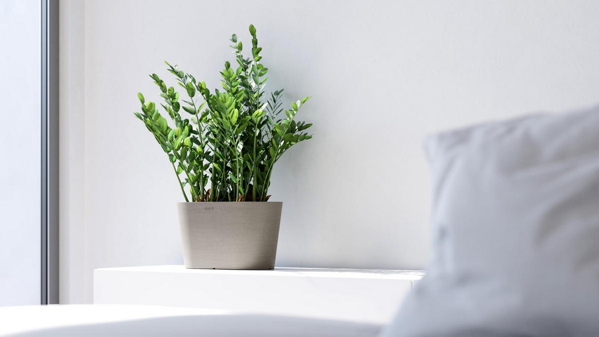 BLUMENTOPF Tokyo 30/17/17 cm Taupe - Taupe, Kunststoff (30/17cm) - Ecopots