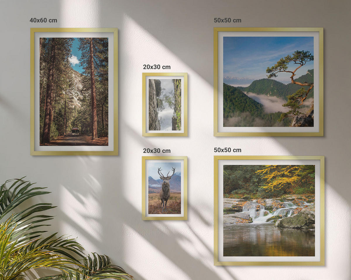 WANDBILDER 5er Set - 50x50 cm & 20x30 cm & 40x60 cm Goldrahmen - Wasserfall Wald Berge Hirsch Natur - Goldfarben, Kunststoff (40/60cm) - ArtPrintCave