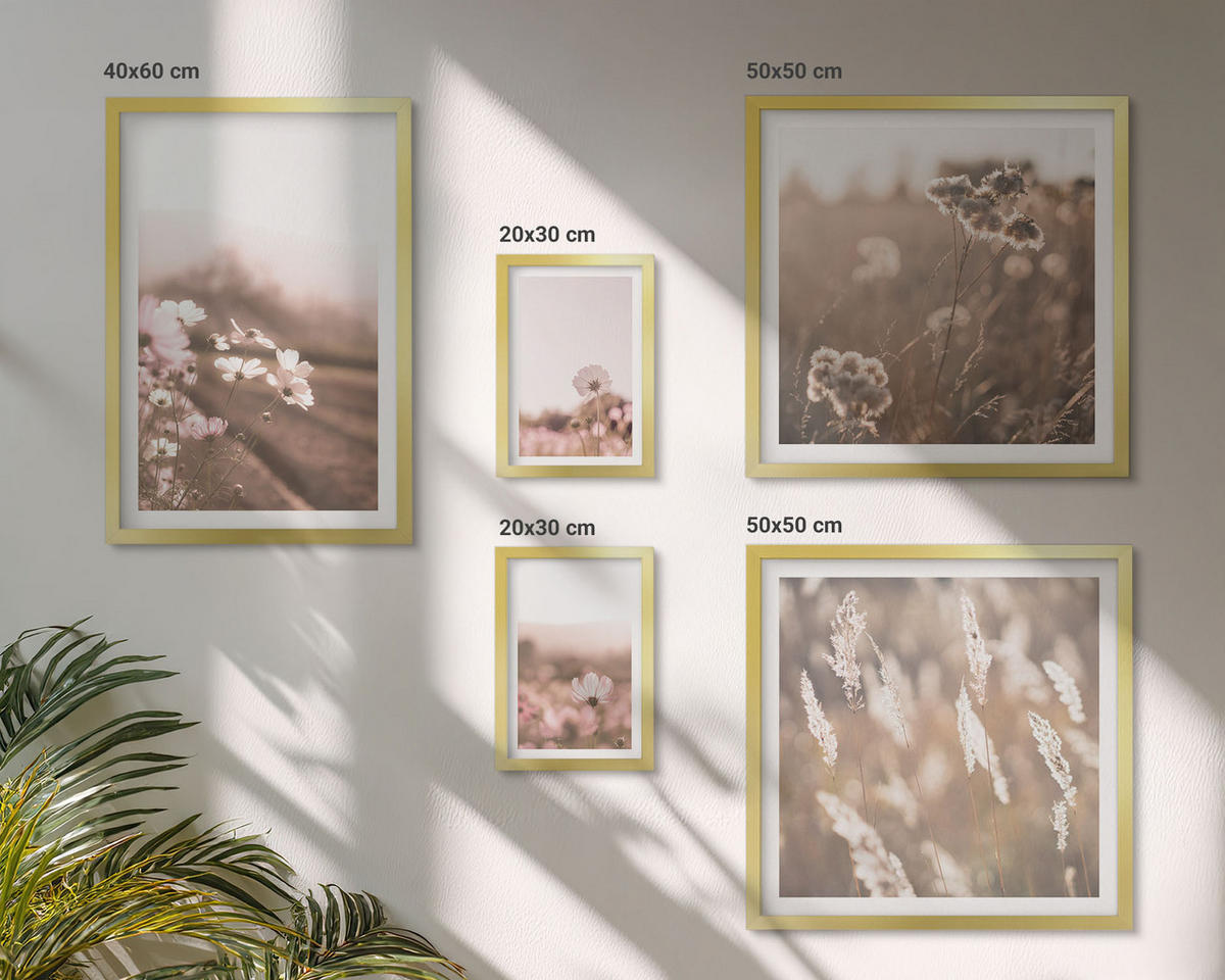 WANDBILDER 5er Set - 50x50 cm & 20x30 cm & 40x60 cm Goldrahmen - Wildblumen auf den Wiesen im Sommer - Goldfarben, Kunststoff (40/60cm) - ArtPrintCave