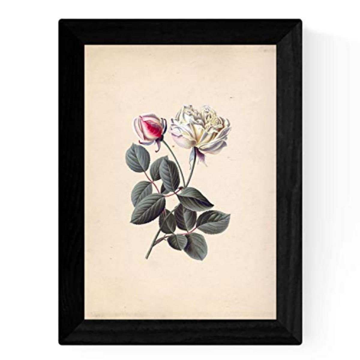POSTER Set mit 4 Botanische Papier Hintergrund Rosen A3 Rahmenlos - Klar, Papier (29.7/3cm) - Nacnic
