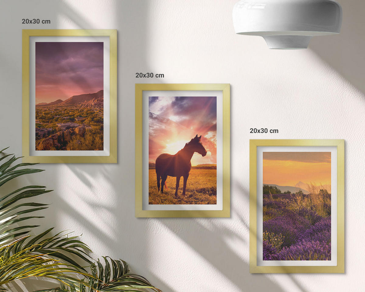 WANDBILDER 3er Set - 20x30 cm Goldrahmen - Berglandschaft mit einem Pferd - Goldfarben, Kunststoff (20/30cm) - ArtPrintCave