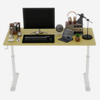 SCHREIBTISCH in Naturfarbe Höhenverstellbarer Kinderschreibtisch mit kompaktem Design für Arbeitszimmer, B120/T60/H90 cm - Weiß/Naturfarben, Holzwerkstoff/Metall (60/120/90cm) - STILVORA