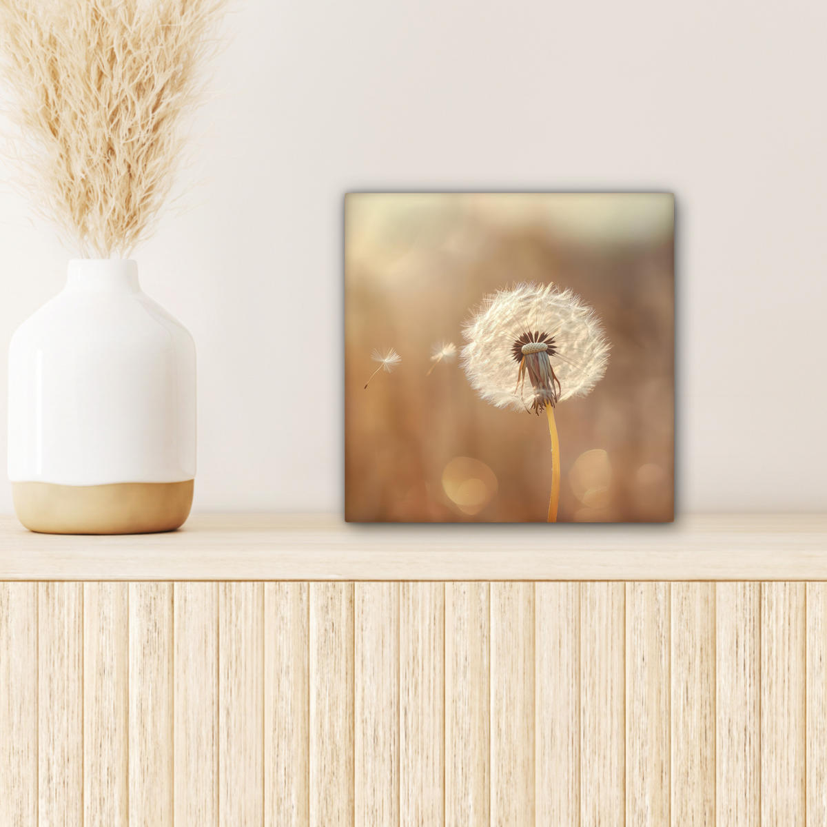 LEINWANDBILD Löwenzahn - Beige - Natur - Blume 20x20 cm - Hellbraun, Textil (20/20cm) - MuchoWow