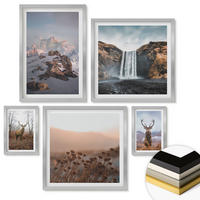 WANDBILDER 5er Set - 50x50 cm & 20x30 cm & 40x60 cm Silberner Rahmen - Urlaub Palmen Wasserfall - Silberfarben, Kunststoff (40/60cm) - ArtPrintCave