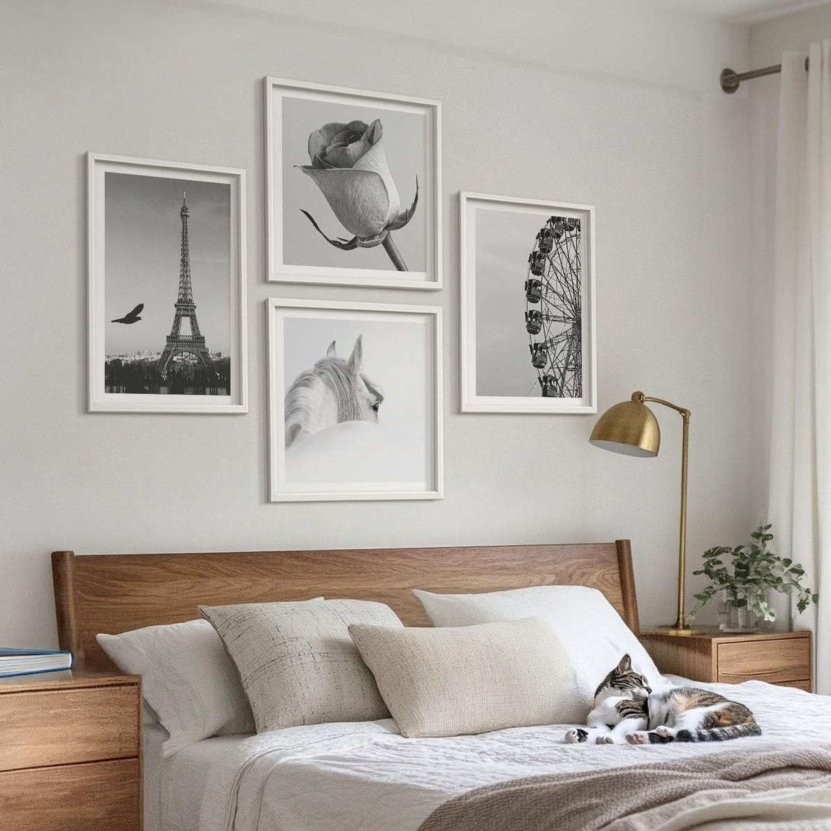 WANDBILDER 4er-Set - 50x50 cm & 40x60 cm Weißer Rahmen - Rose Eiffelturm Pferd Riesenrad S/W - Weiß, Kunststoff (50/50cm) - ArtPrintCave