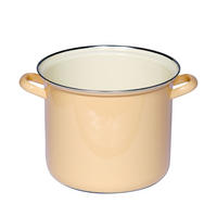 TOPF mit Chromrand Ø20cm 4L Pastell Goldgelb Emaille - Gelb, Metall (25/30/25cm) - Riess