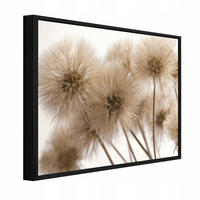 BILDER mit Rahmen Pusteblumen Blumen Beige 120x80 cm - Multicolor, Holzwerkstoff (120/80cm) - Wallarena
