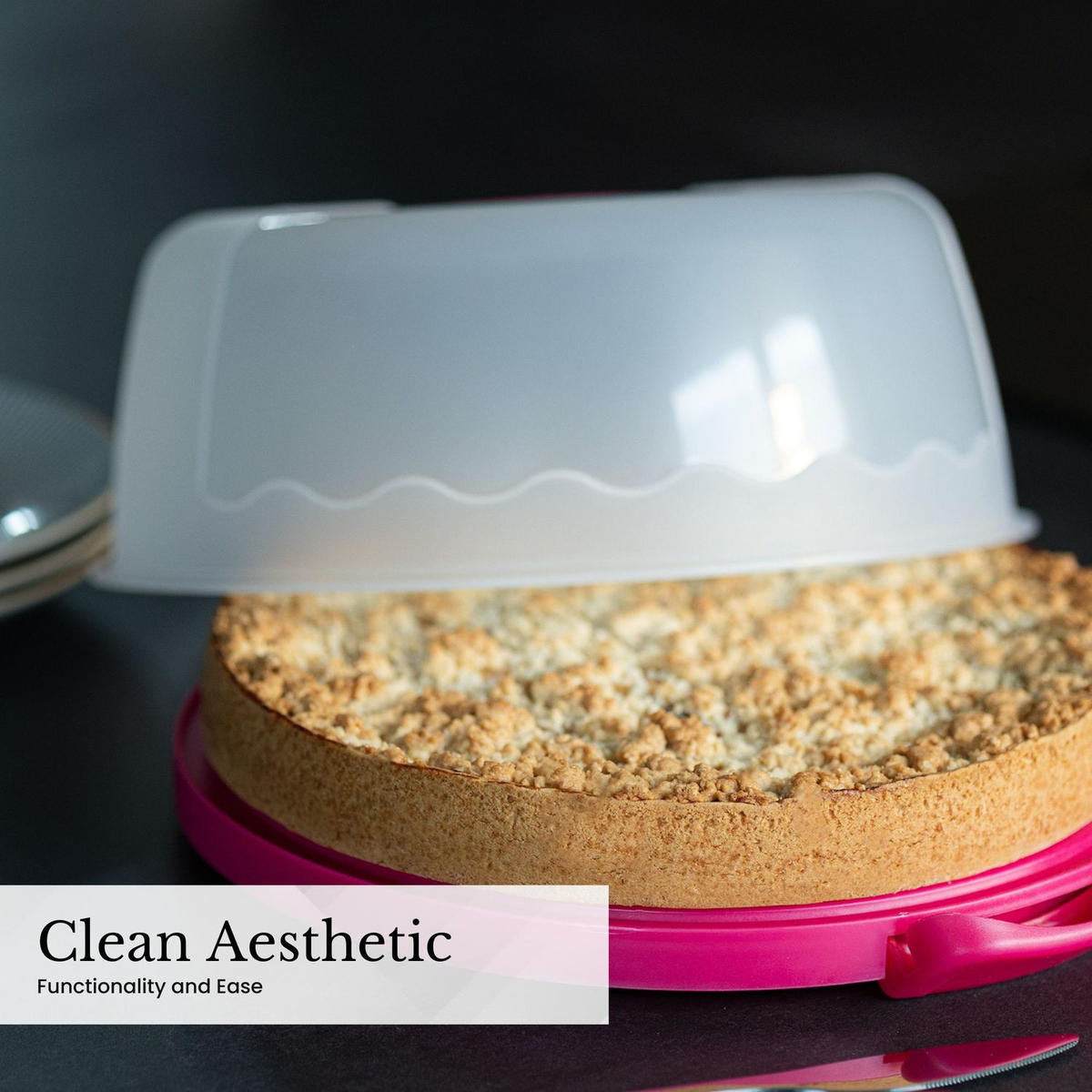 KUCHENTRANSPORTBOX Kuchenbehälter 29.8/28.8/13.2 cm - Pink, Kunststoff (28.8/13.2/29.8cm) - Intirilife