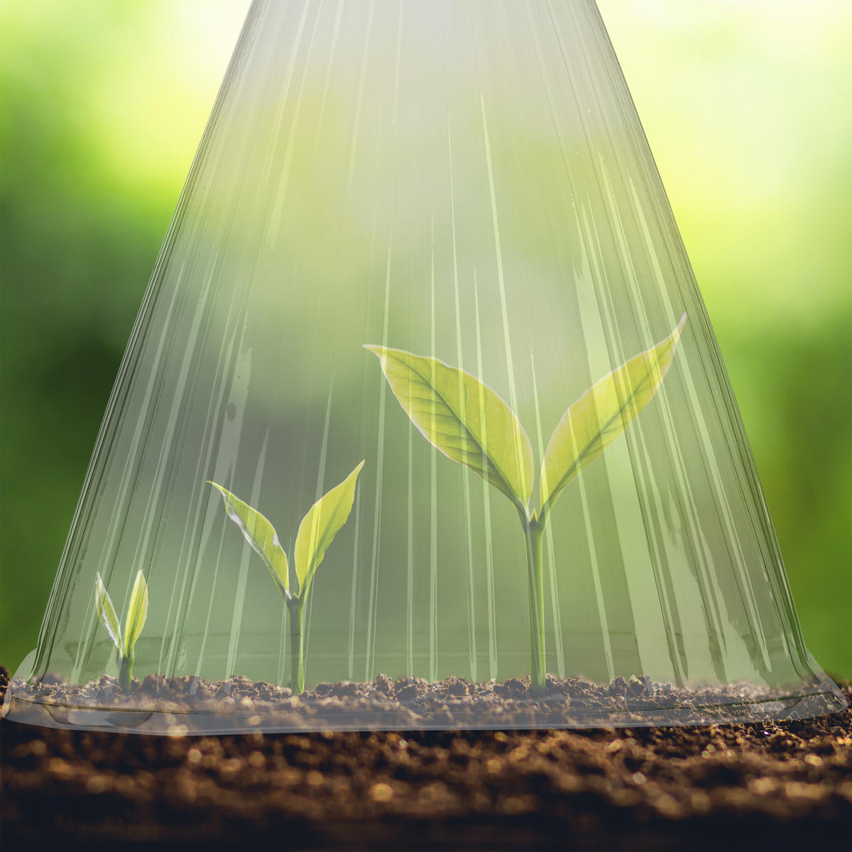 32XPFLANZENHUT - Grau, Kunststoff (19/22/19cm) - Relaxdays