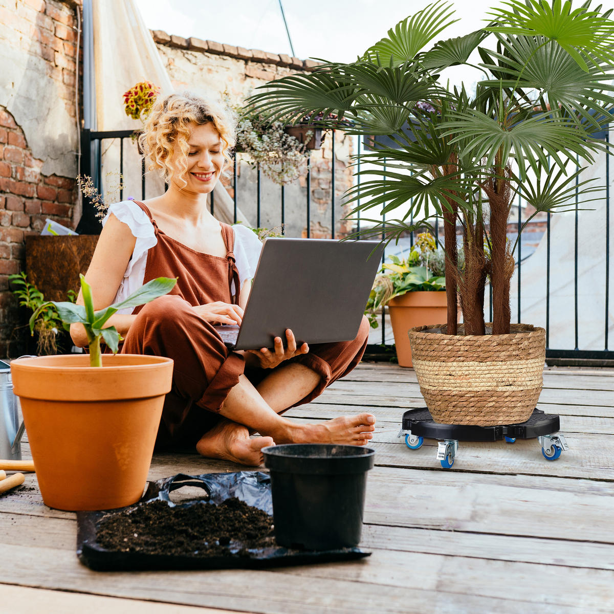 PFLANZENROLLER - Anthrazit, Kunststoff/Metall (51.5/10.5/51.5cm) - Relaxdays