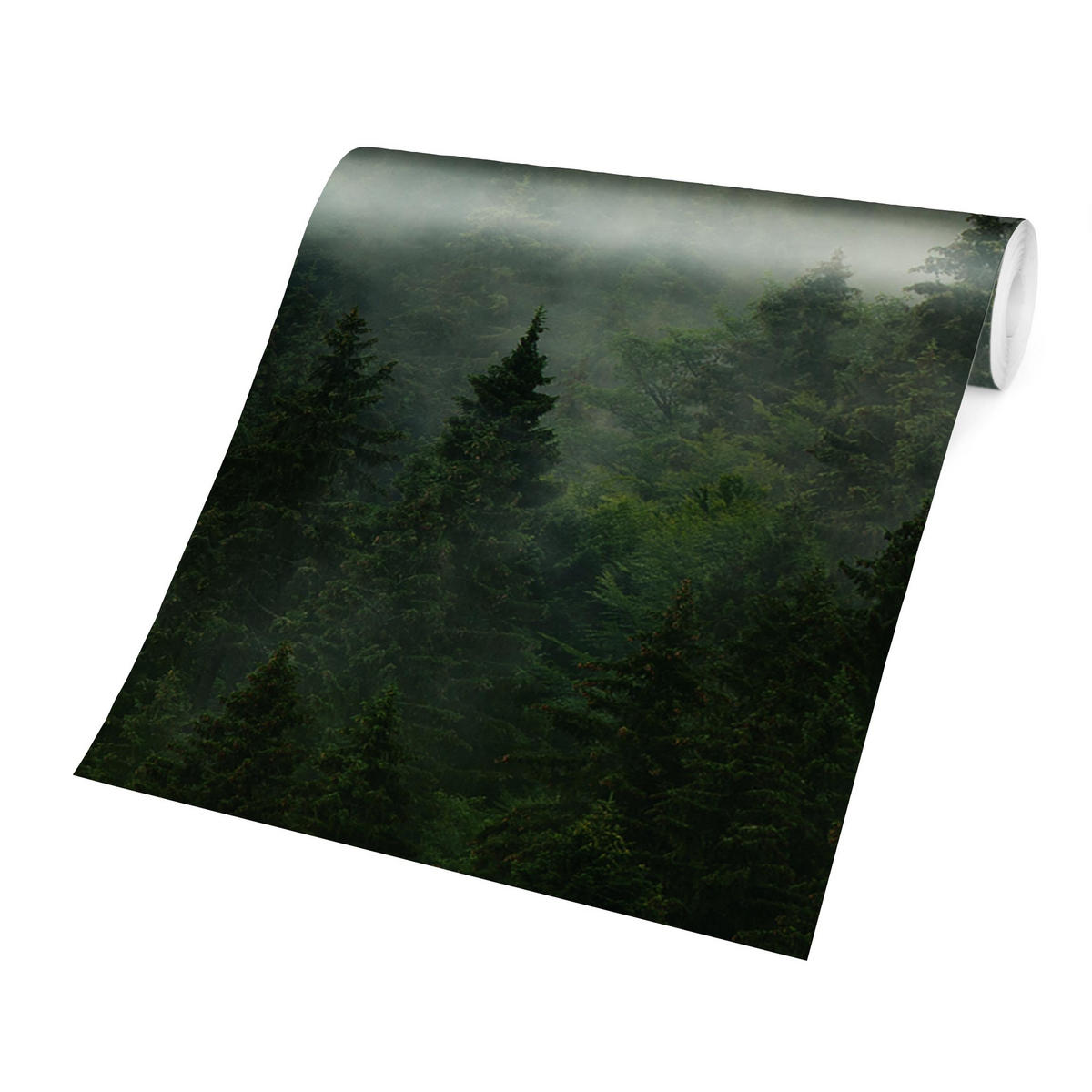 FOTOTAPETE Tiefgrüner Tannenwald im Nebel 288/190 cm - Grün, Papier (288/190cm) - Bilderwelten