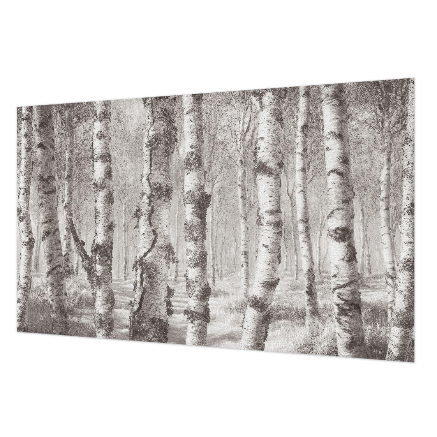 FOTOTAPETE 416x254 cm - Birkenwald - Schwarz, Textil (416/254cm) - Wallfluent