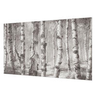 FOTOTAPETE 416x254 cm - Birkenwald - Schwarz, Textil (416/254cm) - Wallfluent