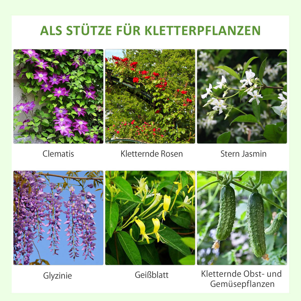 RANKGITTER-SET 2TLG. im Blätterdesign Schwarz - Schwarz, Metall (1.3/181/50cm) - Outsunny