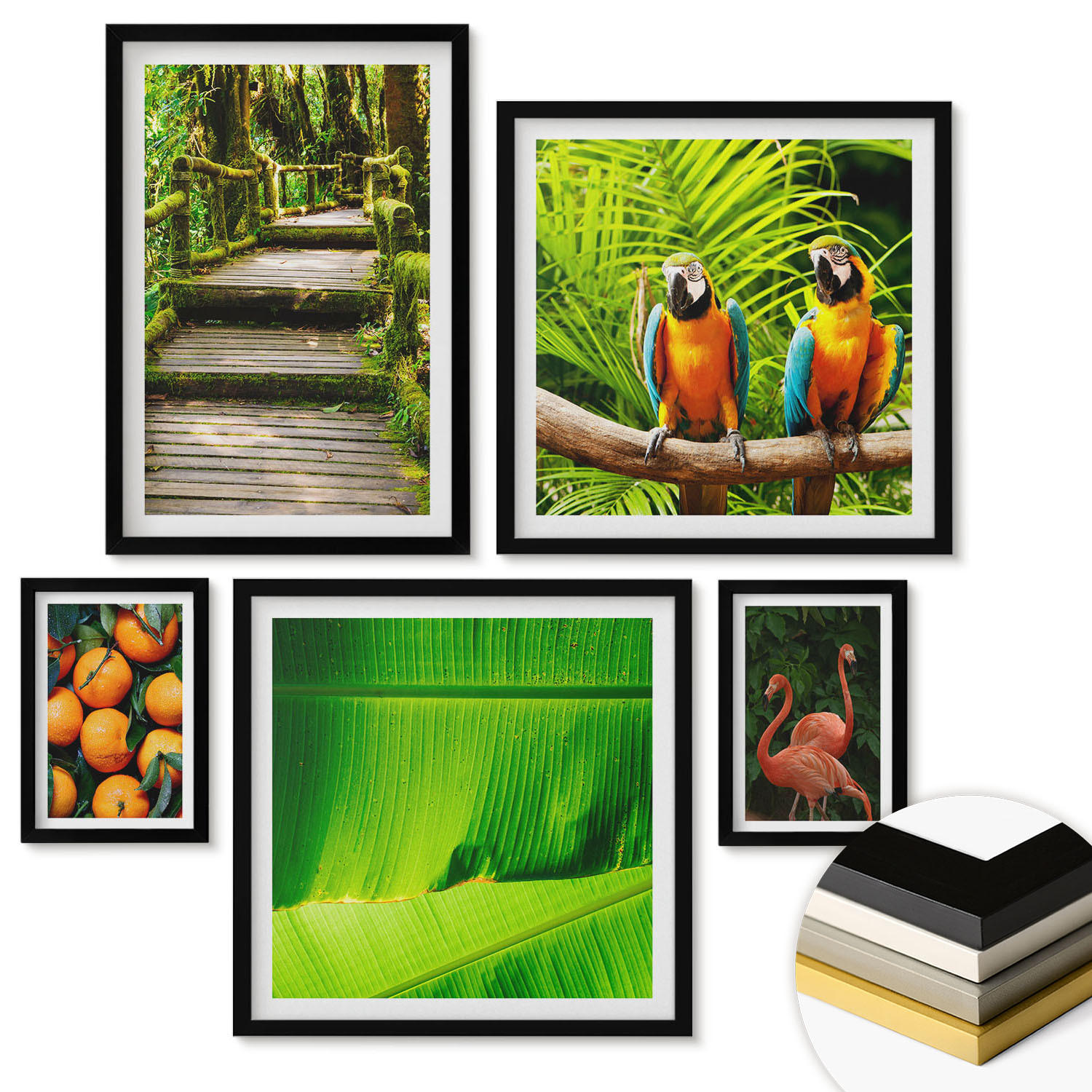 WANDBILDER 5er-Set - 50x50 cm & 20x30 cm & 40x60 cm Schwarzer Rahmen - Fruchtige Akzente der Tropen - Schwarz, Kunststoff (40/60cm) - ArtPrintCave