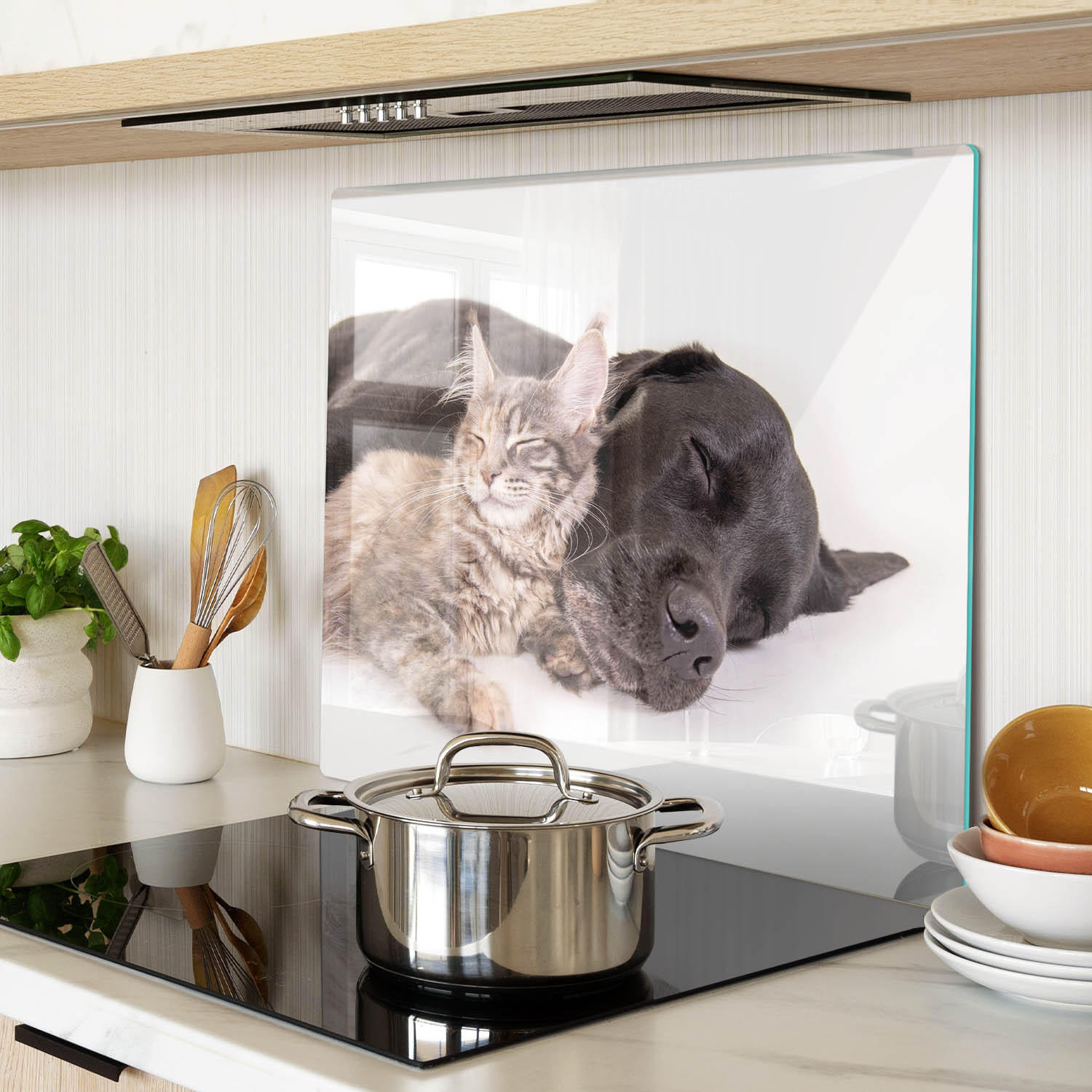 GLASPLATTE 60x52 cm Hund und Katze - Orange/Weiß, Glas (60/52cm) - TULUP