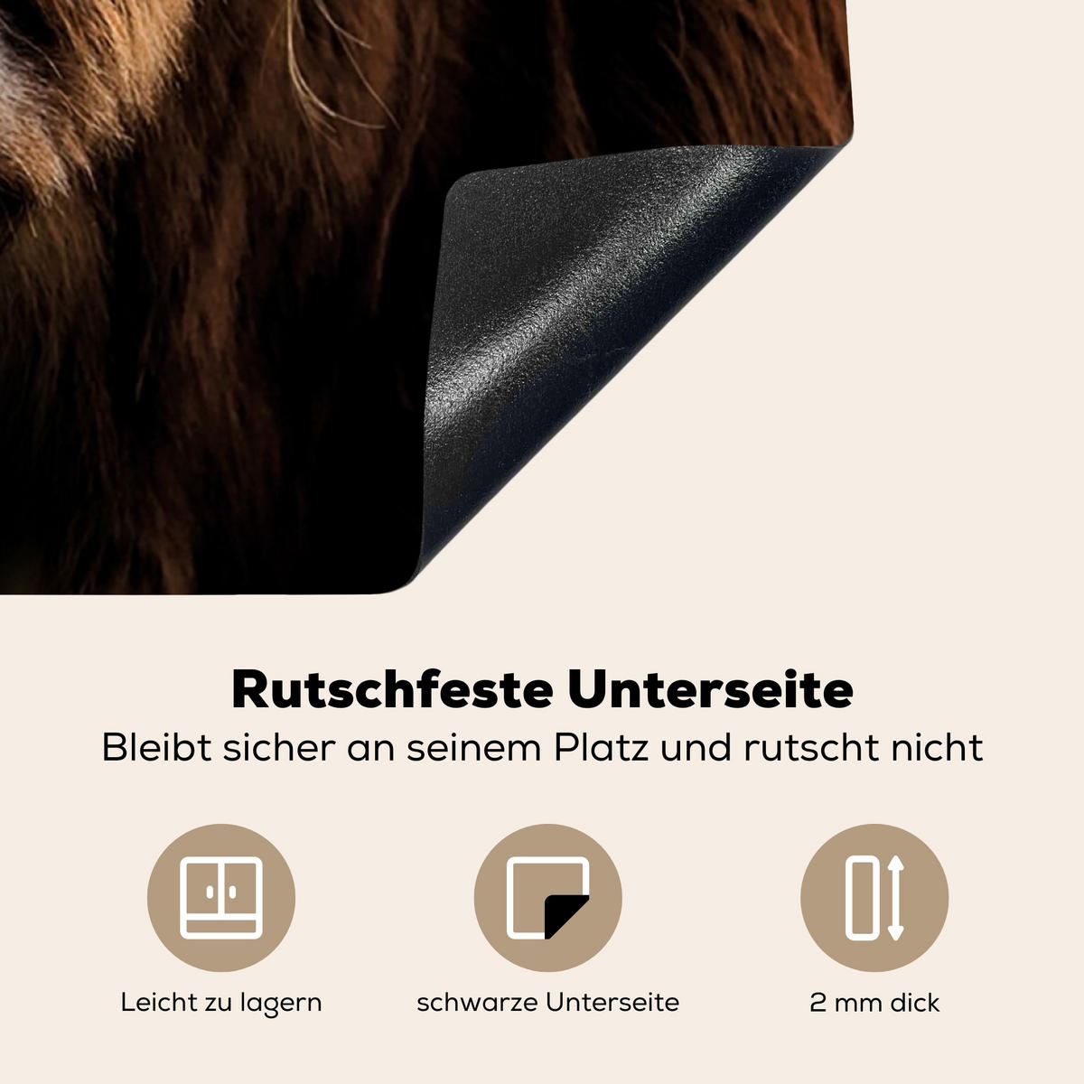 HERDABDECKPLATTE Schottischer Highlander - Hörner - Schwarz - Tiere - Natur - Wild - Kuh 78x78 cm - Cognac, Kunststoff (78/78/0.2cm) - MuchoWow