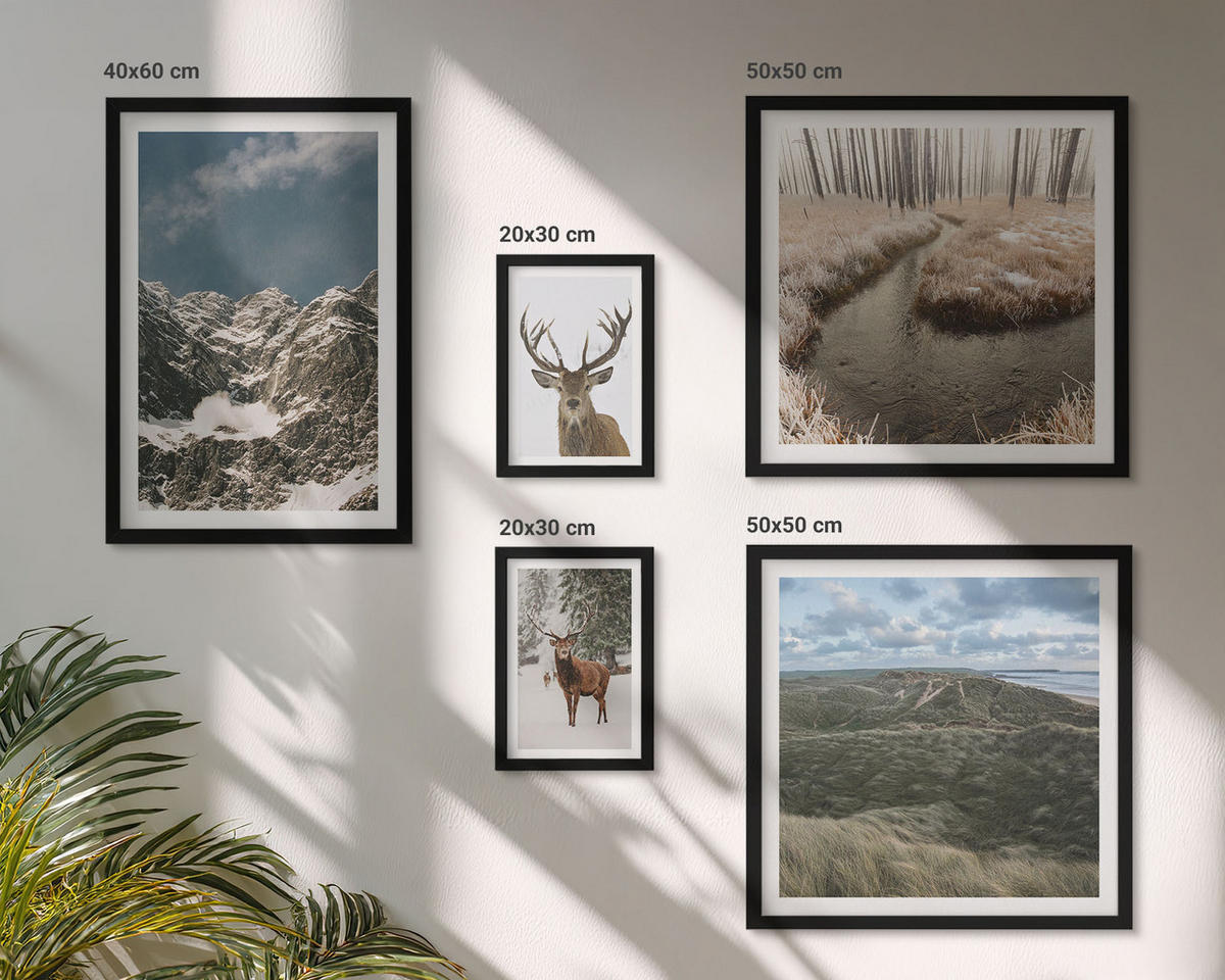 WANDBILDER 5er-Set - 50x50 cm & 20x30 cm & 40x60 cm Schwarzer Rahmen - Berge, Schnee, Hirsche, Waldlandschaft - Schwarz, Kunststoff (40/60cm) - ArtPrintCave