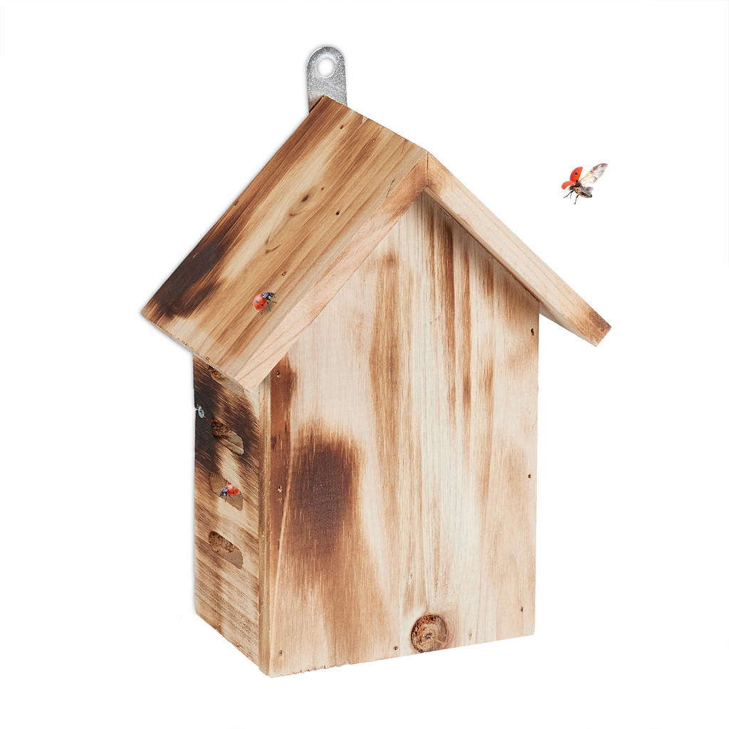 CĂSUȚĂ PENTRU BUBURUZE maro lemn de brad 22x17x10 cm