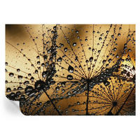 FOTOTAPETE 312x219 cm - Zarte Tropfen - Weiß, Textil (312/219cm) - Wallfluent