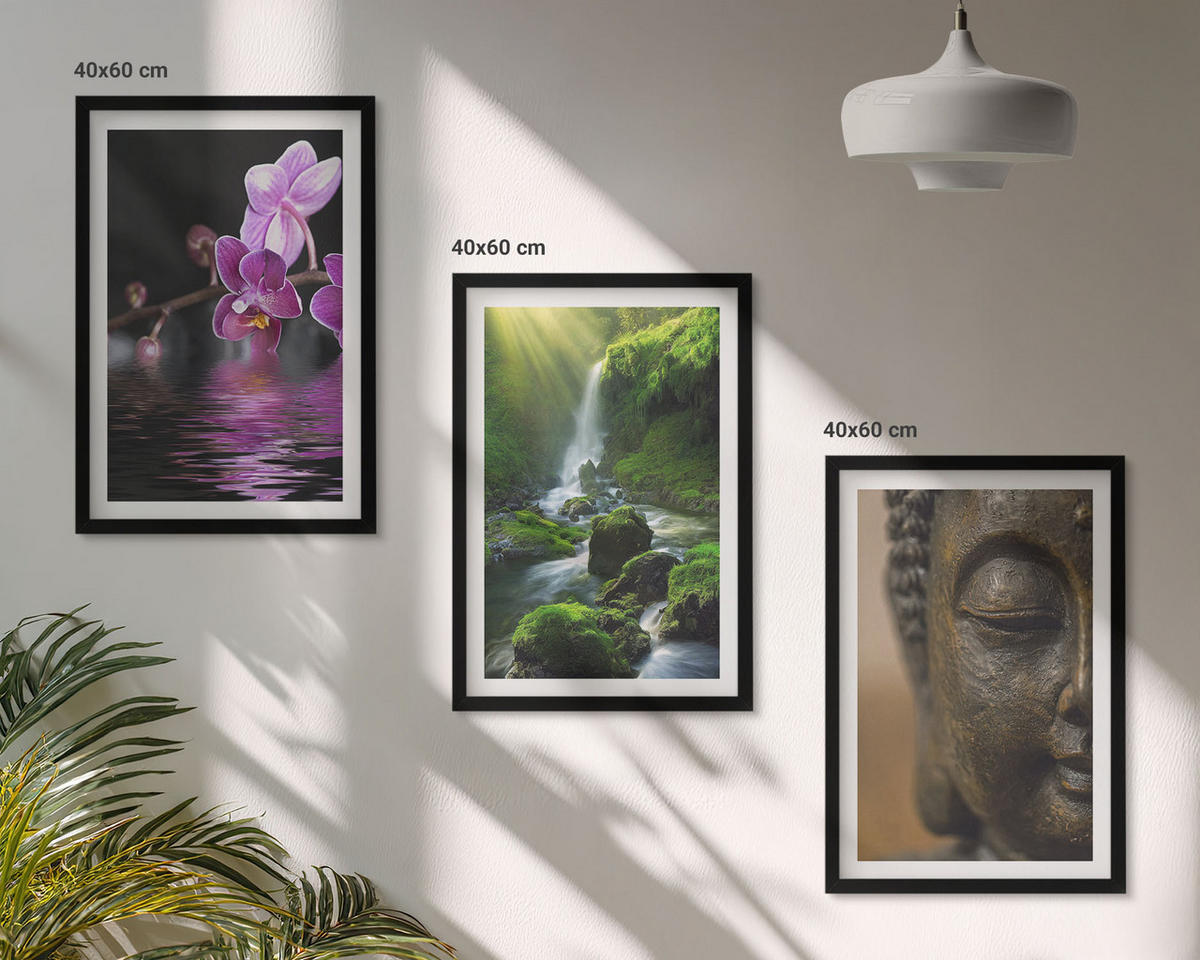 BILDER SET 3er Set - 40x60 cm Schwarzer Rahmen - Blumen, Wasserfall, Buddha-Felsen, Zen - Schwarz, Kunststoff (40/60cm) - TULUP