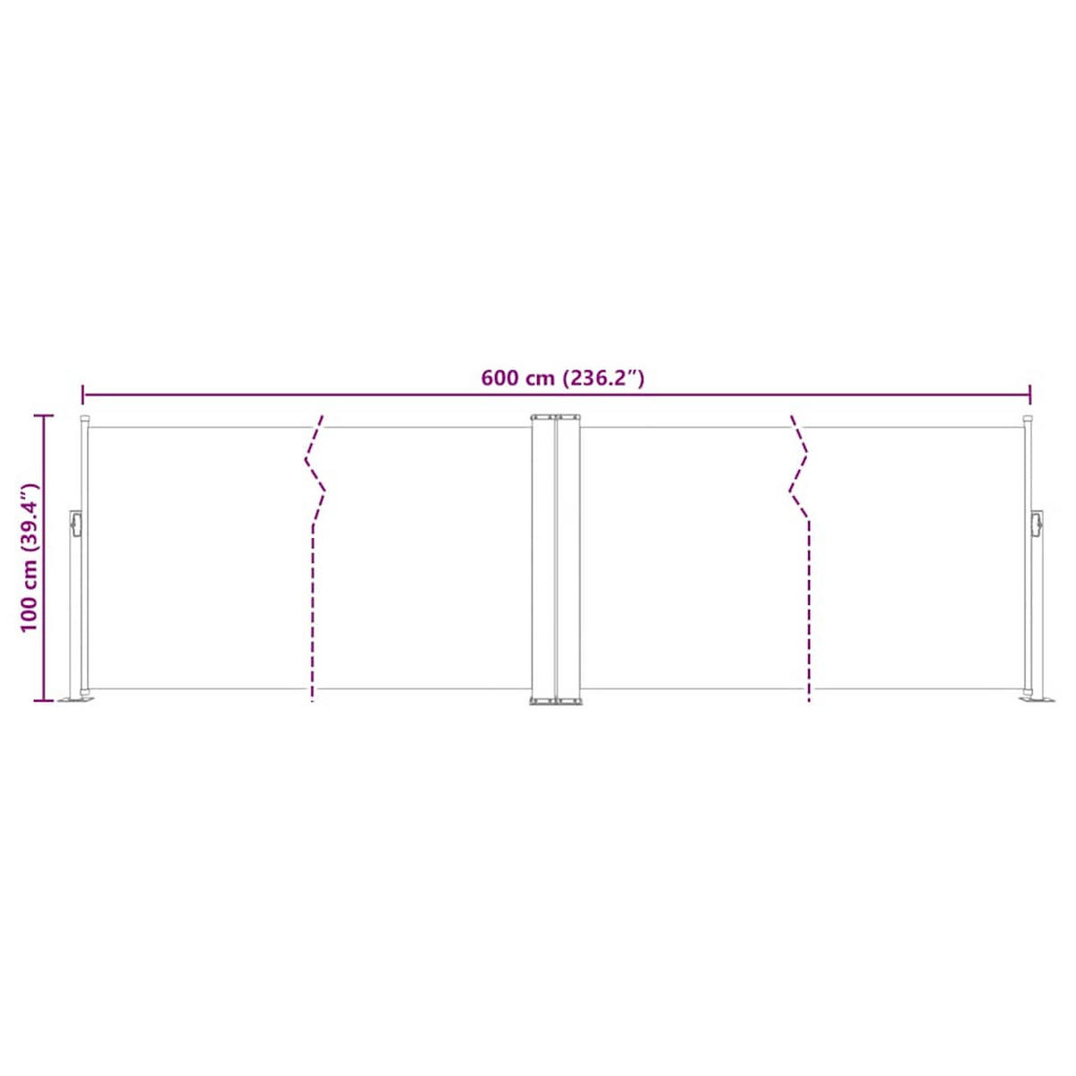 AUSZIEHBARE Seitenmarkise Anthrazit 100/600 Cm - Anthrazit, Textil (600/100/1cm) - vidaXL