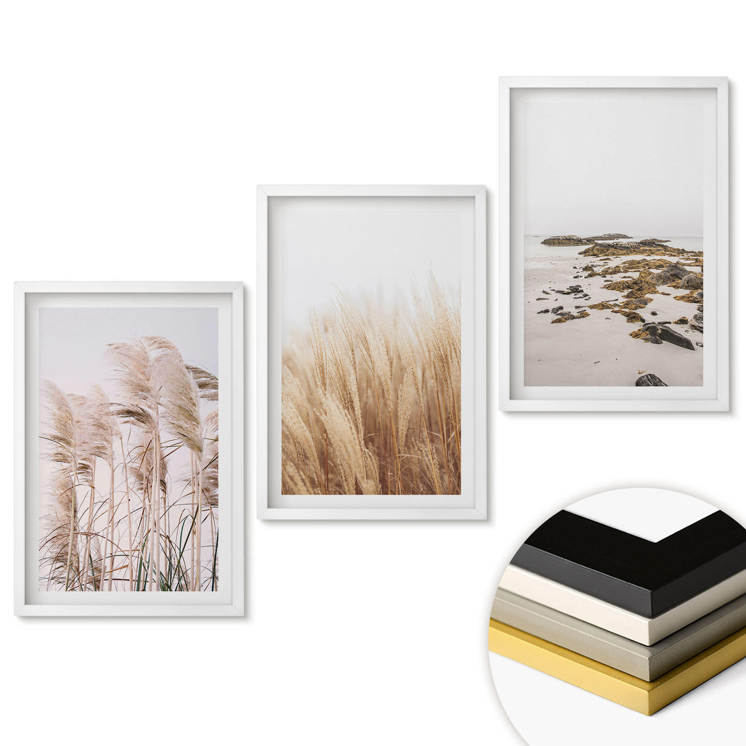 WANDBILDER 3er-Set - 40x60 cm Weißer Rahmen - Pampasgrasfelder und ein Boho-Strand - Weiß, Kunststoff (40/60cm) - ArtPrintCave