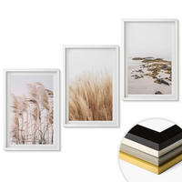 WANDBILDER 3er-Set - 40x60 cm Weißer Rahmen - Pampasgrasfelder und ein Boho-Strand - Weiß, Kunststoff (40/60cm) - ArtPrintCave