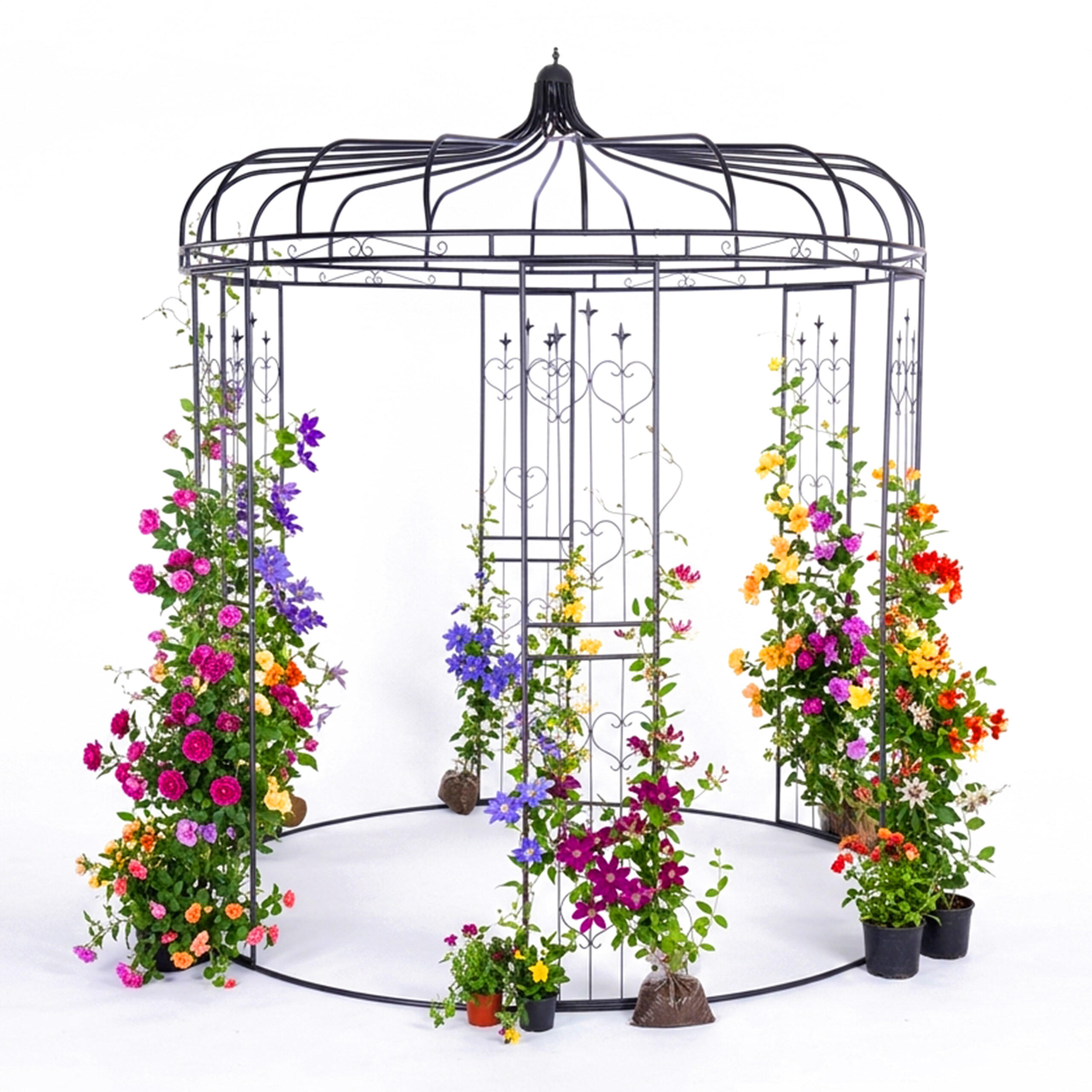 PAVILON růží - černá, kov (232/271/232cm) - Relaxdays