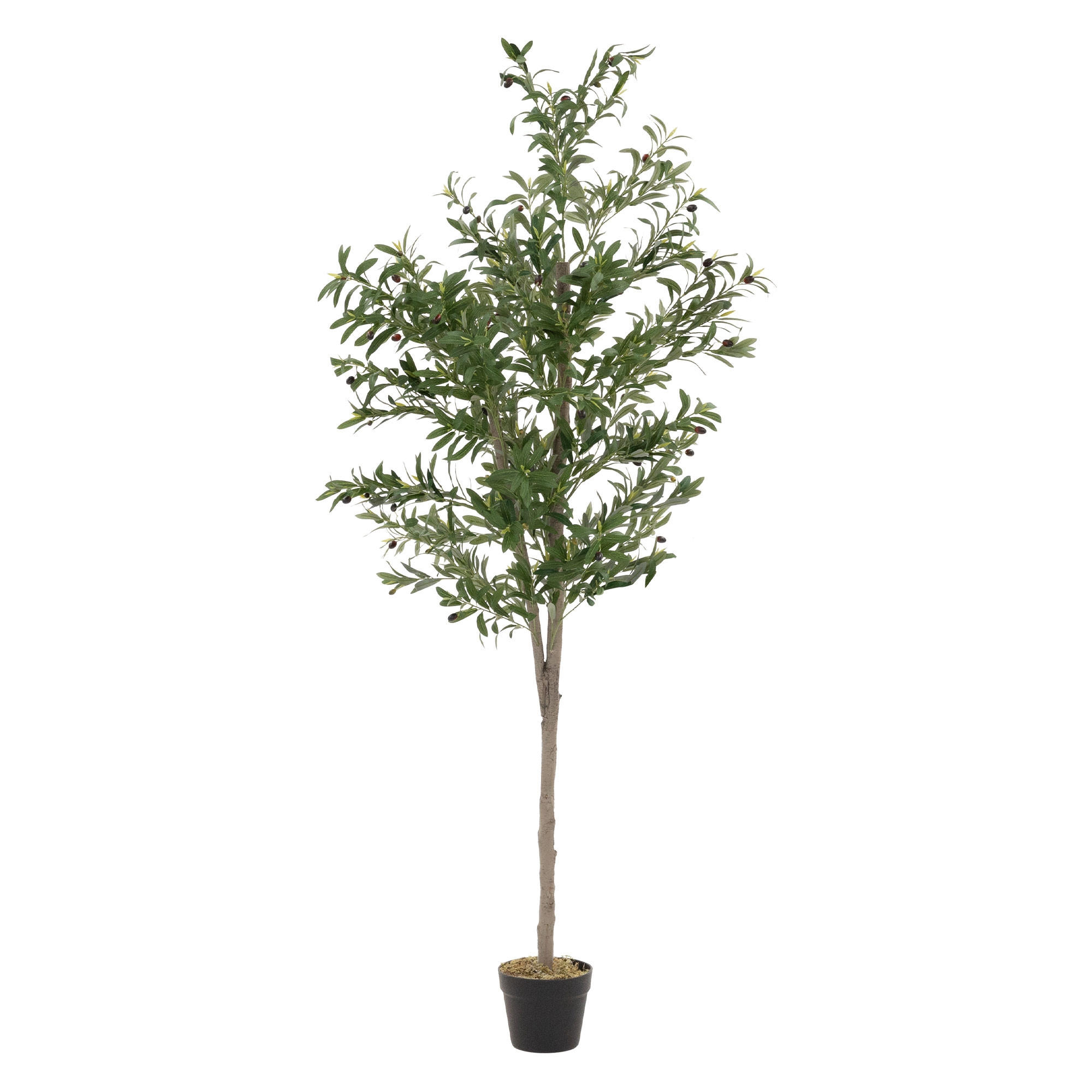 KUNSTPFLANZE Olive - Anthrazit/Grün, Holz/Kunststoff (180cm) - ML-DESIGN