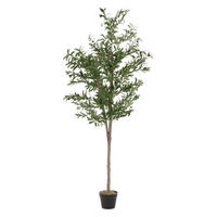 KUNSTPFLANZE Olive - Anthrazit/Grün, Holz/Kunststoff (180cm) - ML-DESIGN