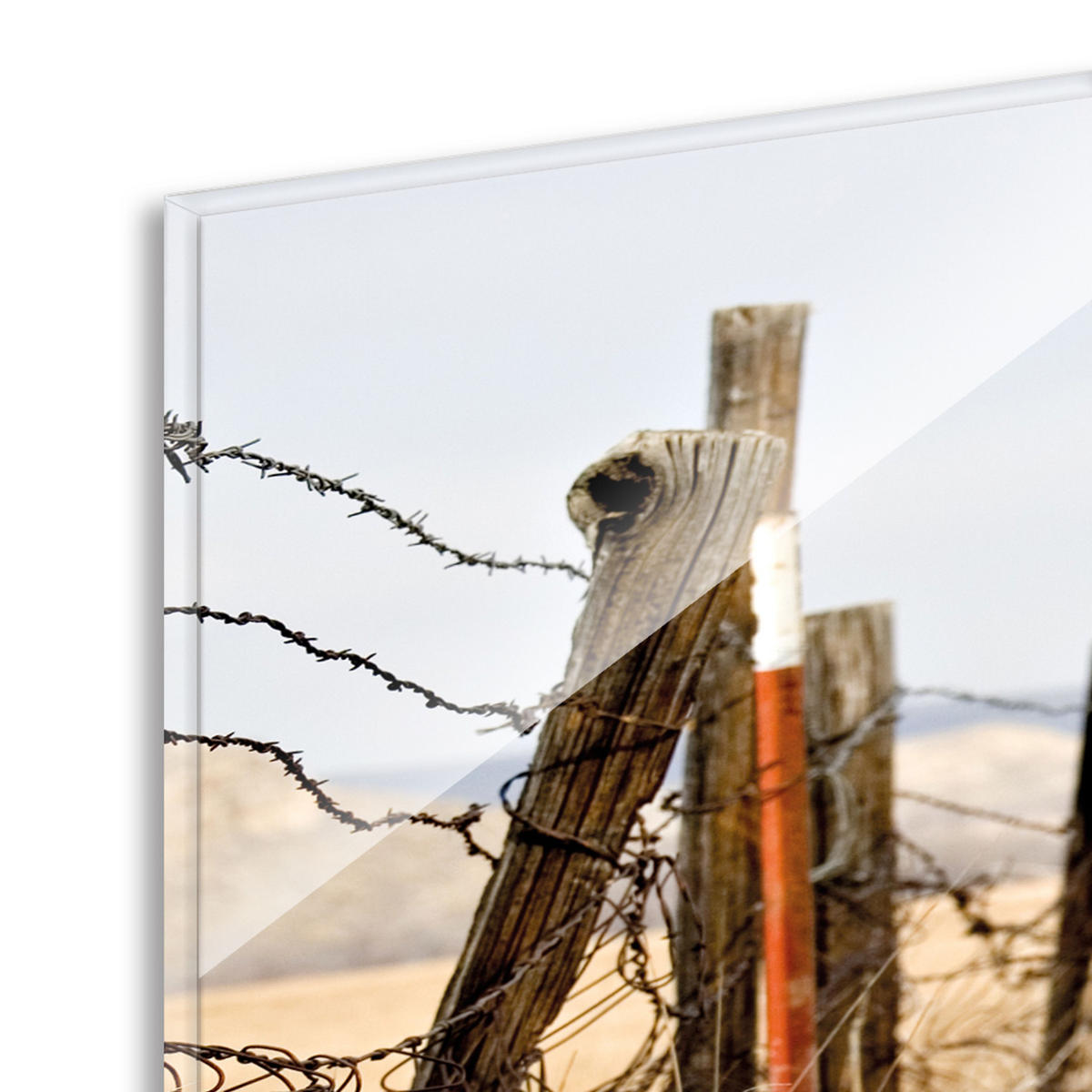 BILDER-SET aus Glas je 50x50 cm Oldtimer - Braun, Glas (150/50cm) - artissimo