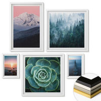 WANDBILDER 5er-Set - 50x50 cm & 20x30 cm & 40x60 cm Weißer Rahmen - Wasserfälle, Berge, Landschaften, Natur - Weiß, Kunststoff (40/60cm) - ArtPrintCave