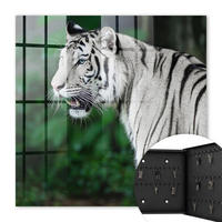 SCHLÜSSELBOX Schwarz 30x30 cm- Türöffnung nach rechts - Weißer Tiger - Weiß, Metall (30/30/5cm) - TULUP