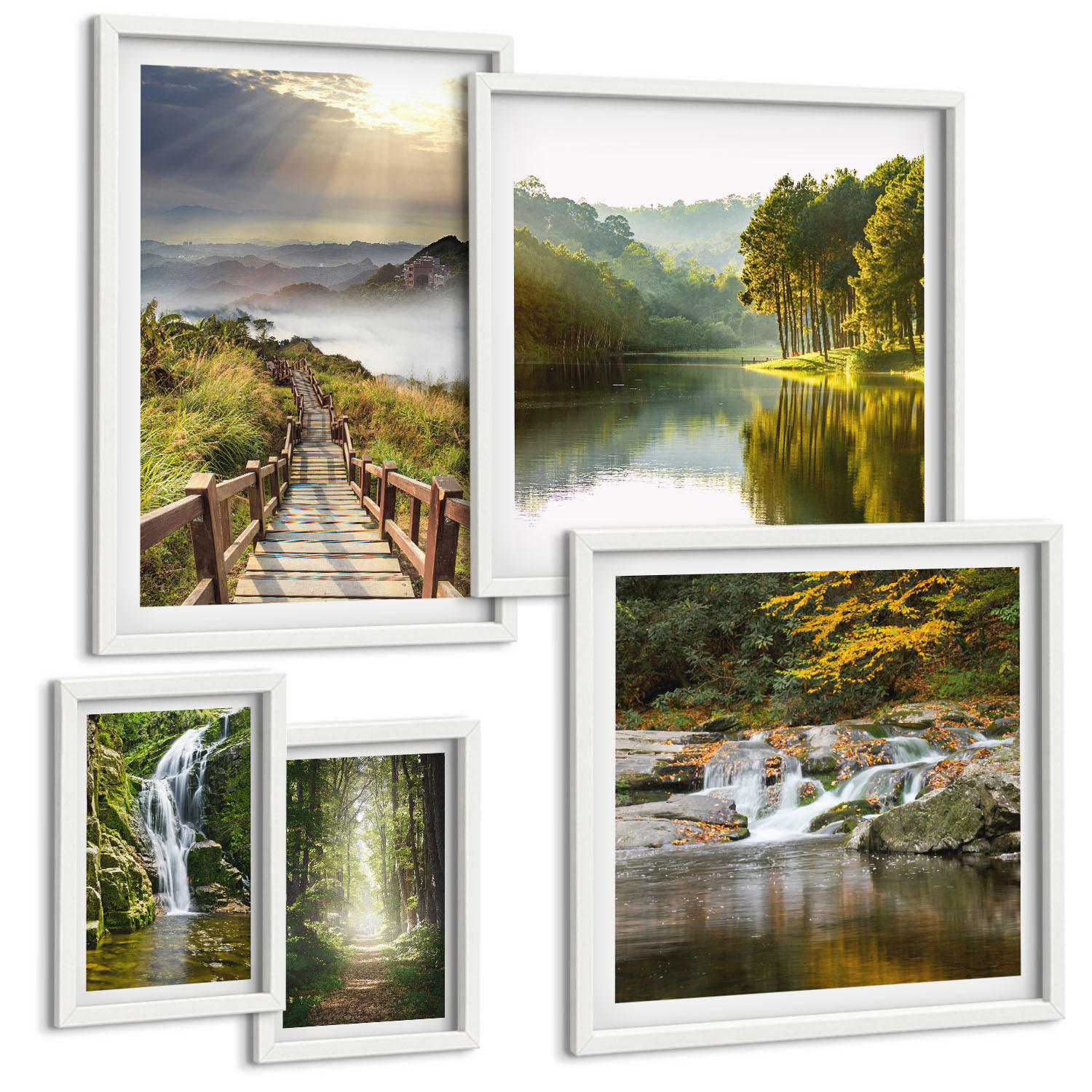 BILDER SET 5er Set - 50x50 cm & 20x30 cm & 40x60 cm Weißer Rahmen - Grüne Blätter von eleganten Sukkulenten - Weiß, Kunststoff (40/60cm) - TULUP