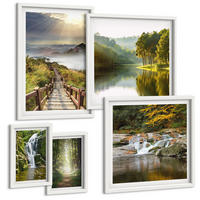 BILDER SET 5er Set - 50x50 cm & 20x30 cm & 40x60 cm Weißer Rahmen - Grüne Blätter von eleganten Sukkulenten - Weiß, Kunststoff (40/60cm) - TULUP