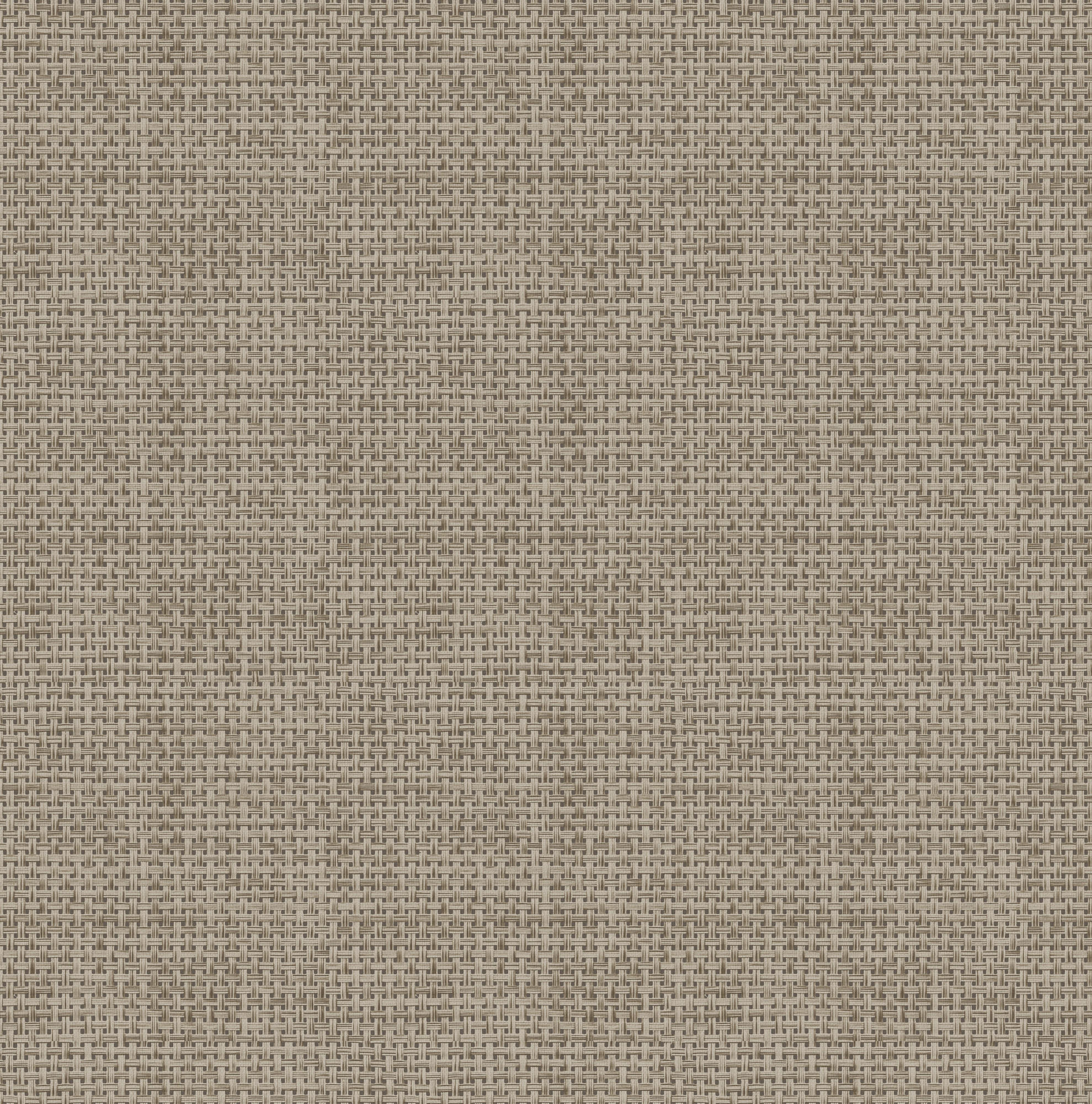 VLIESTAPETE - Rattan - Braun, Papier/Kunststoff (52/1000cm) - Easy Decor