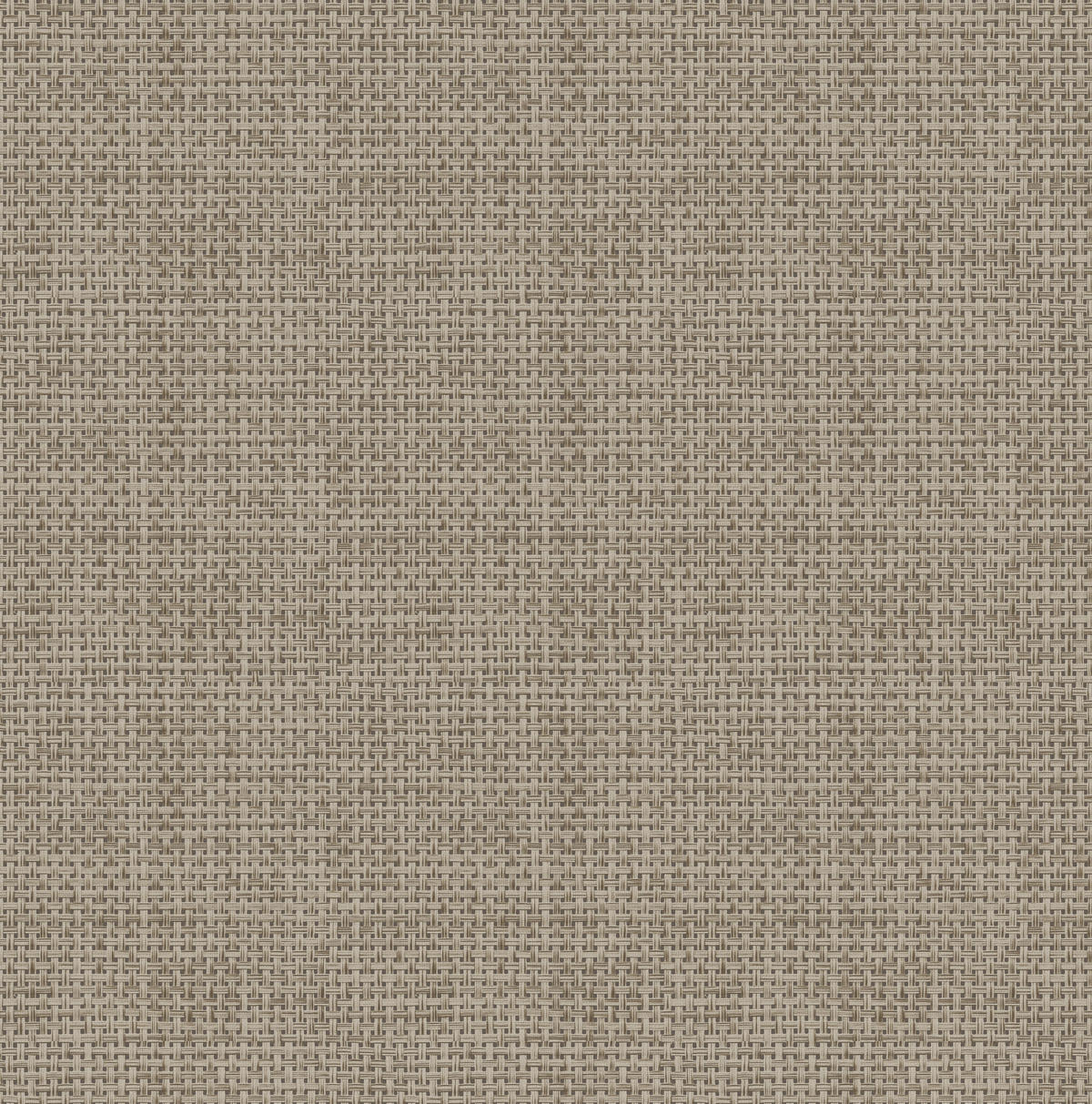 VLIESTAPETE - Rattan - Braun, Papier/Kunststoff (52/1000cm) - Easy Decor