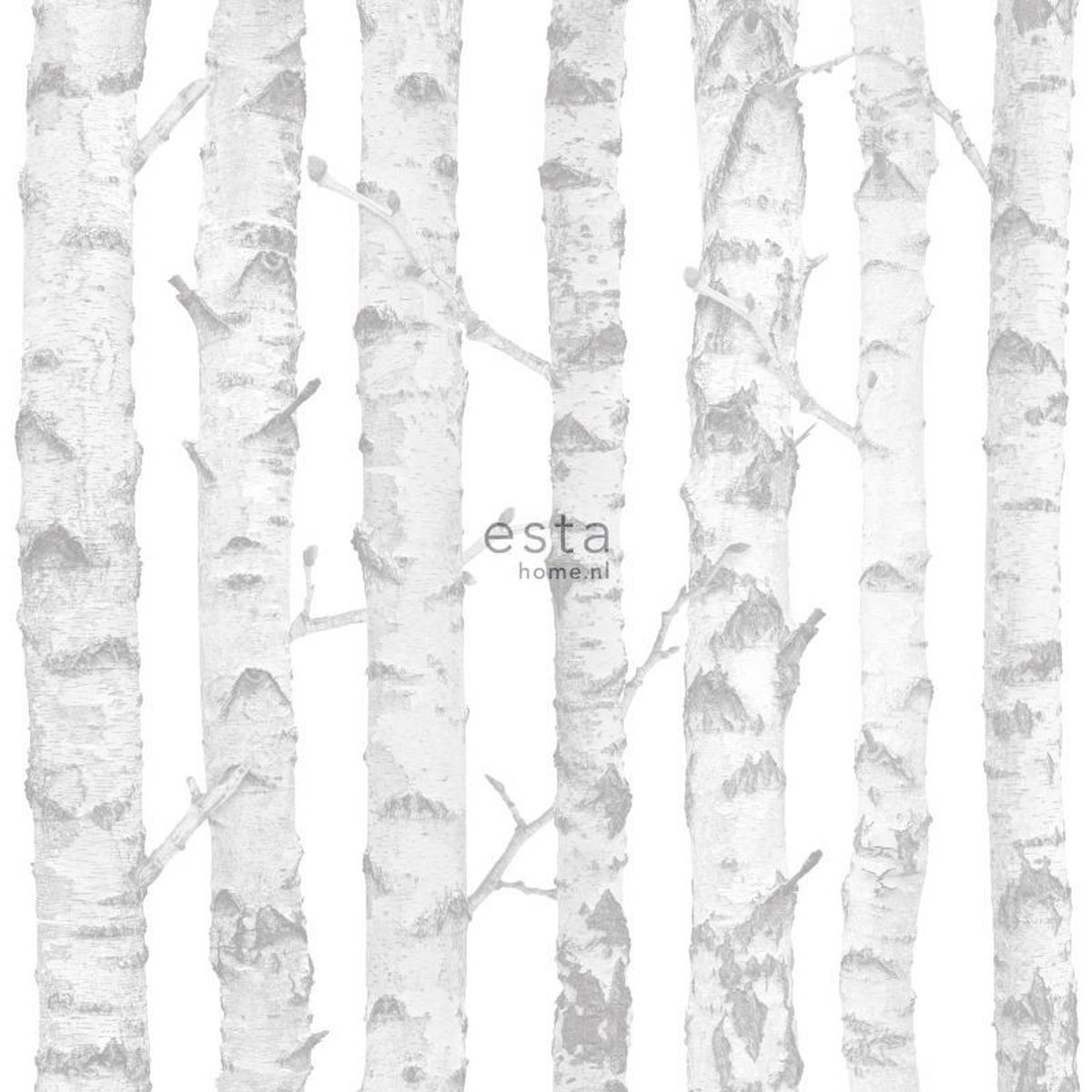TAPETE Birkenstämme 53 cm x 10.05 m - Weiß, Papier (53/0.1cm) - ESTAhome