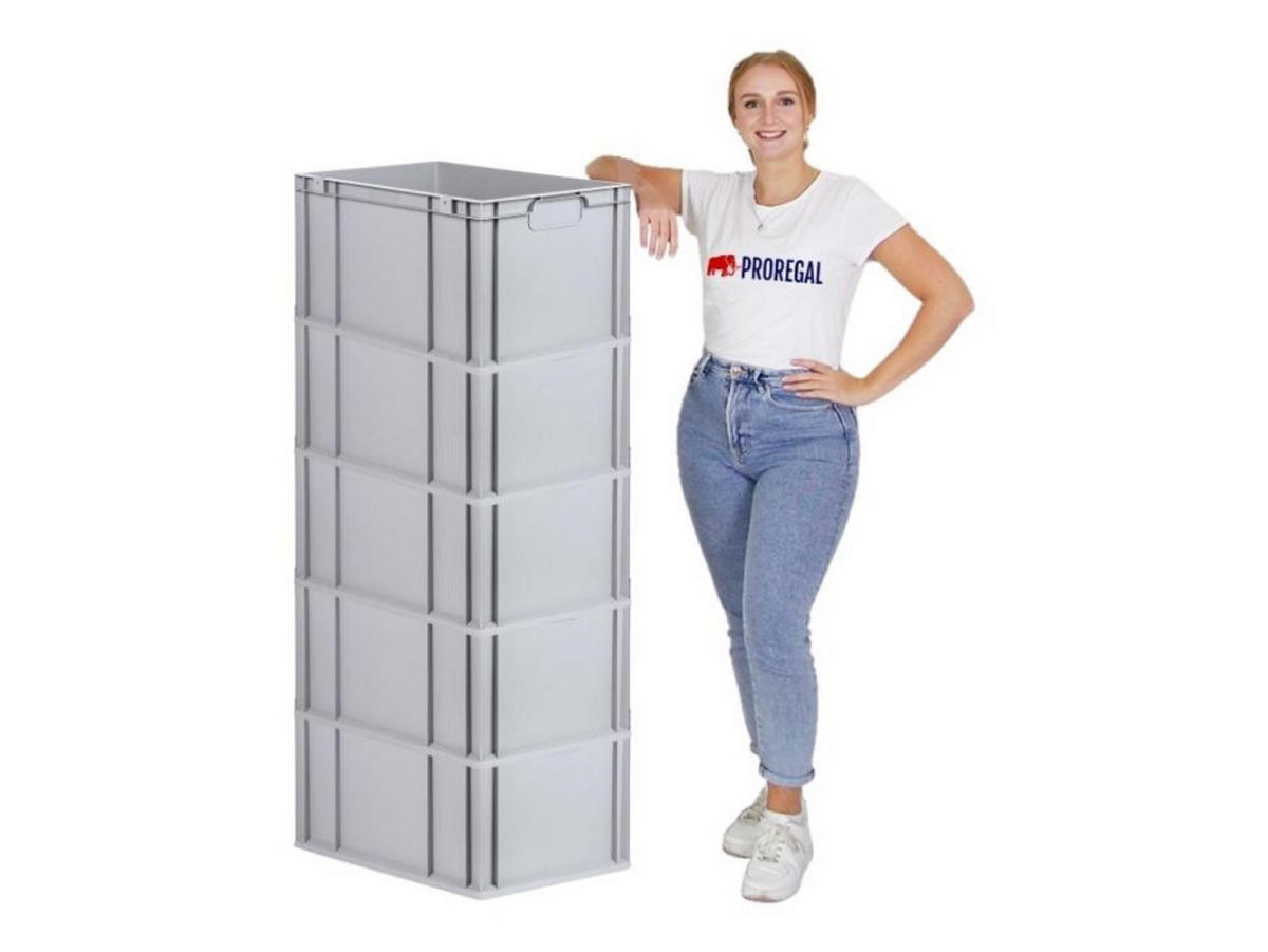 EUROBOX 5x Nextgen Economy Griffe Geschlossen 32x40x60cm 65 Liter - Grau, Kunststoff (40/32/60cm) - PROREGAL